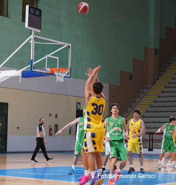 DSC00457y_tn.jpg