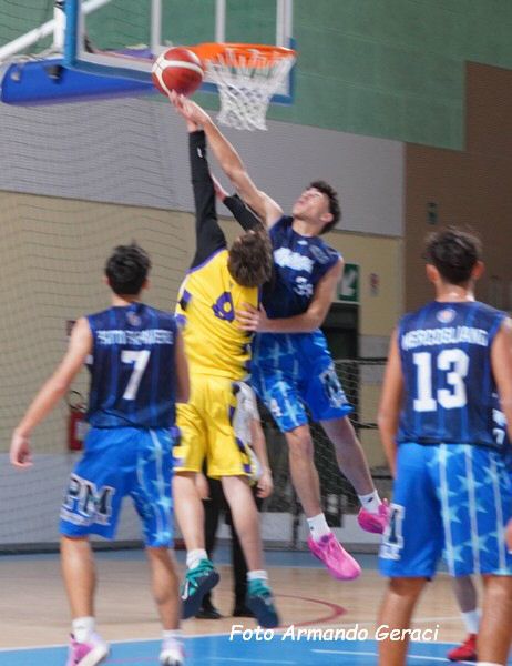 DSC02346y_tn.jpg