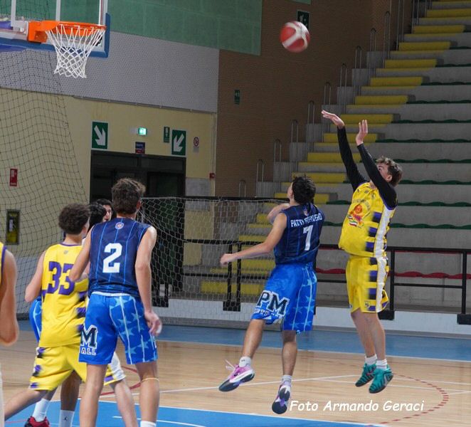 DSC02357y_tn.jpg