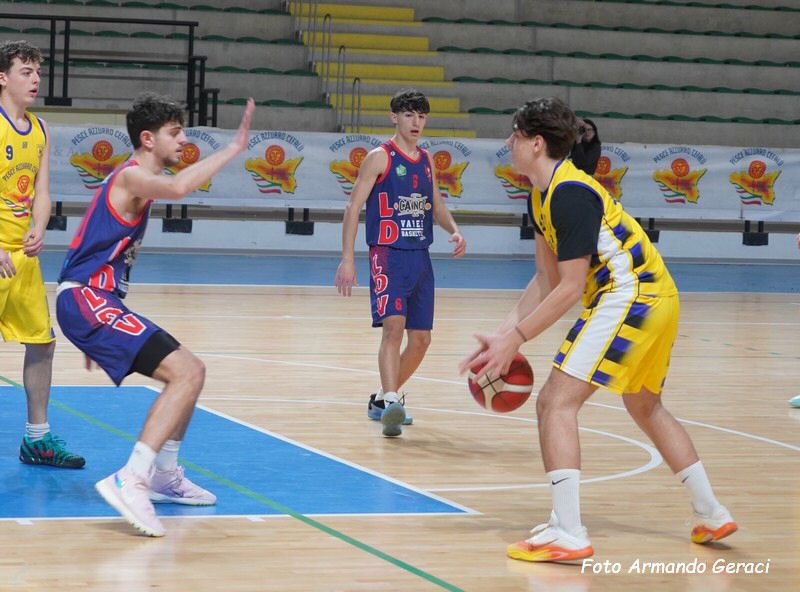 DSC05846y_tn.jpg