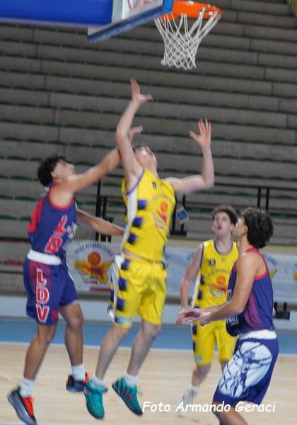 DSC05858y_tn.jpg