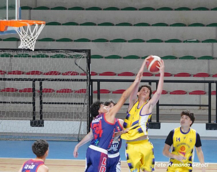 DSC05920y_tn.jpg