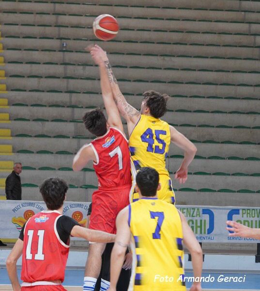 DSC07146y_tn.jpg
