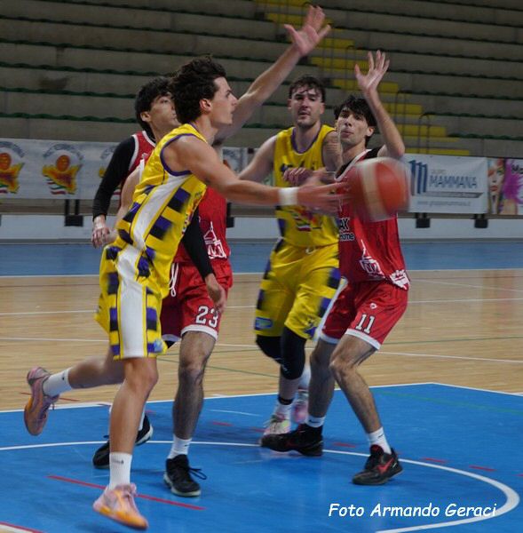 DSC07178y_tn.jpg