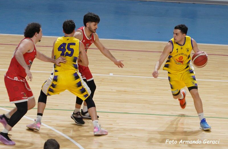 DSC07203y_tn.jpg