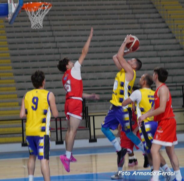DSC02143y_tn.jpg