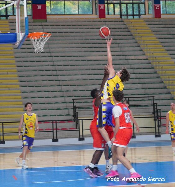 DSC02155y_tn.jpg