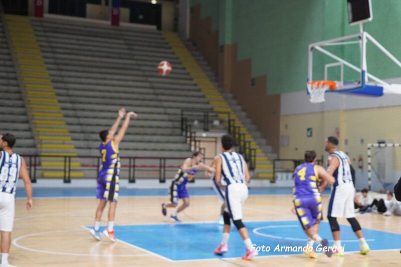DSC08351_tn.jpg