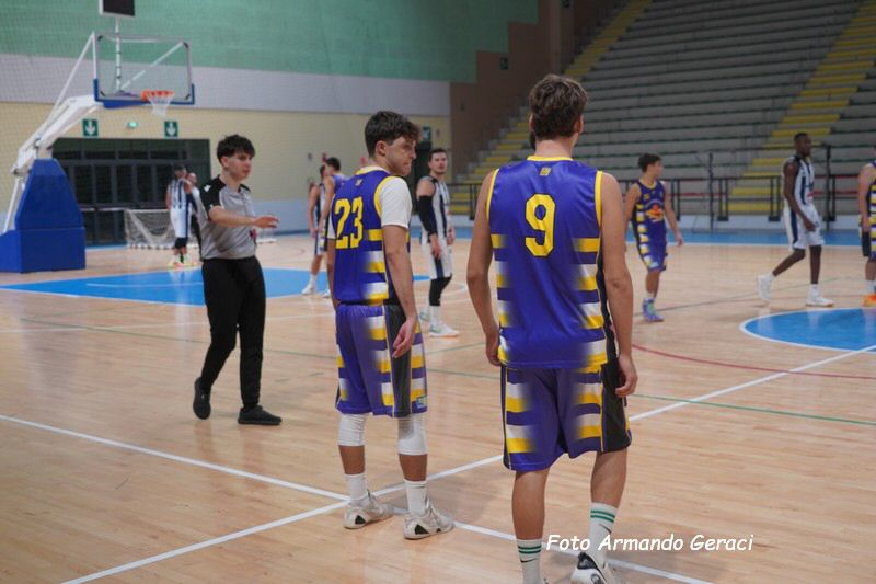 DSC08395_tn.jpg