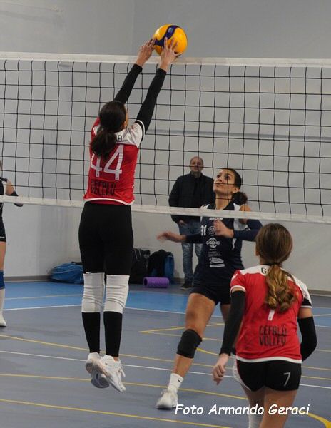 DSC04453y_tn.jpg