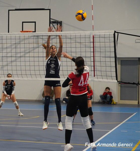 DSC04462y_tn.jpg