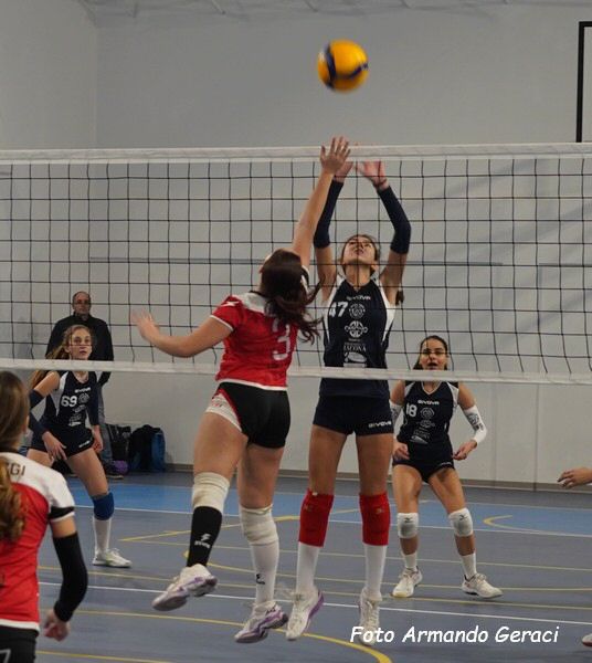 DSC04470y_tn.jpg