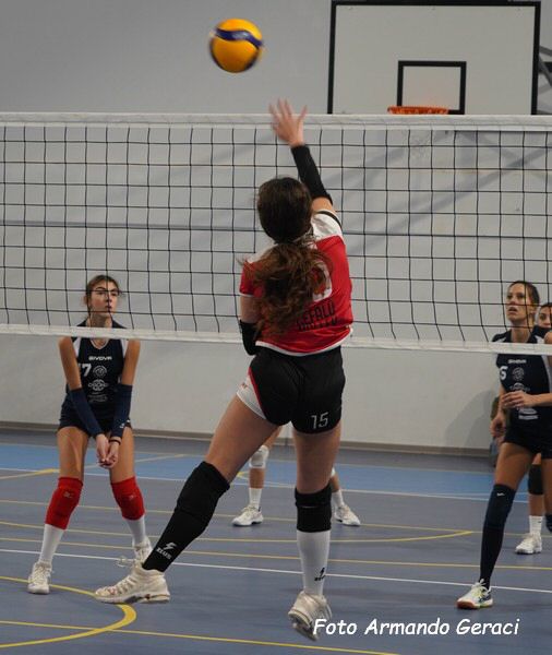 DSC04481y_tn.jpg