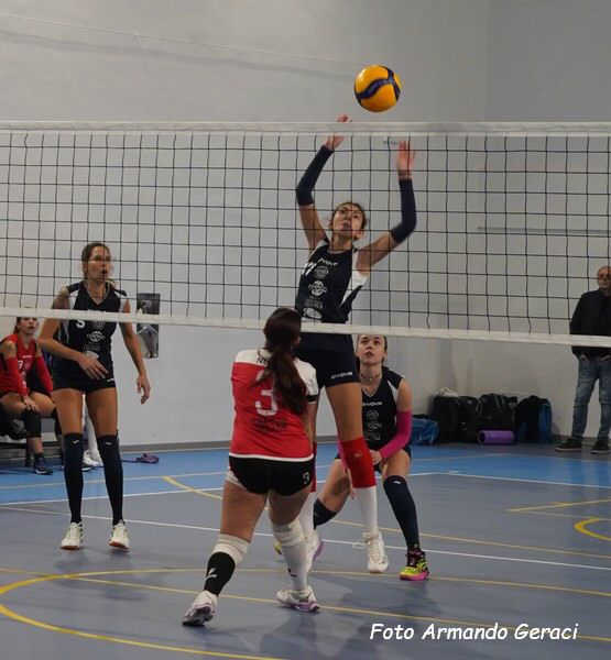 DSC04486y_tn.jpg