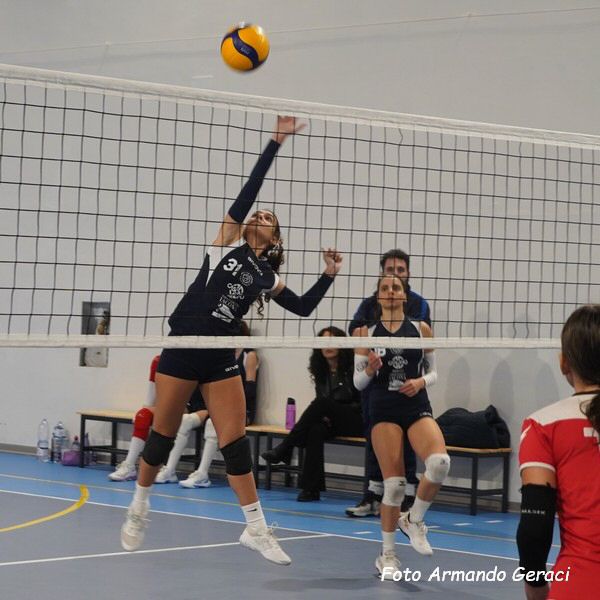 DSC04521y_tn.jpg