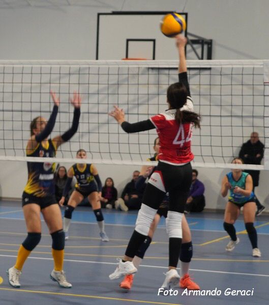 DSC06480y_tn.jpg