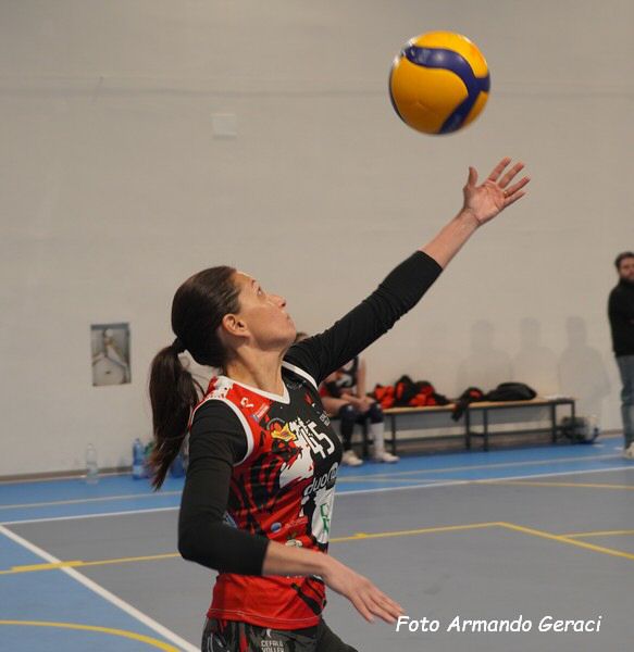 DSC01610y_tn.jpg