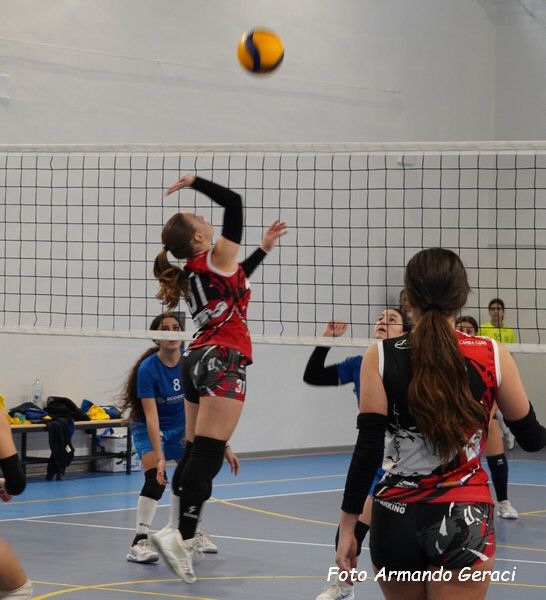 DSC02059y_tn.jpg