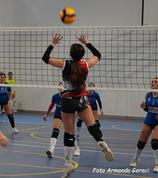 DSC02071y_tn.jpg