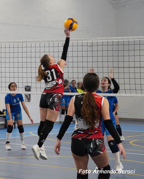 DSC02087y_tn.jpg