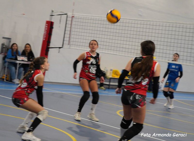 DSC02099y_tn.jpg