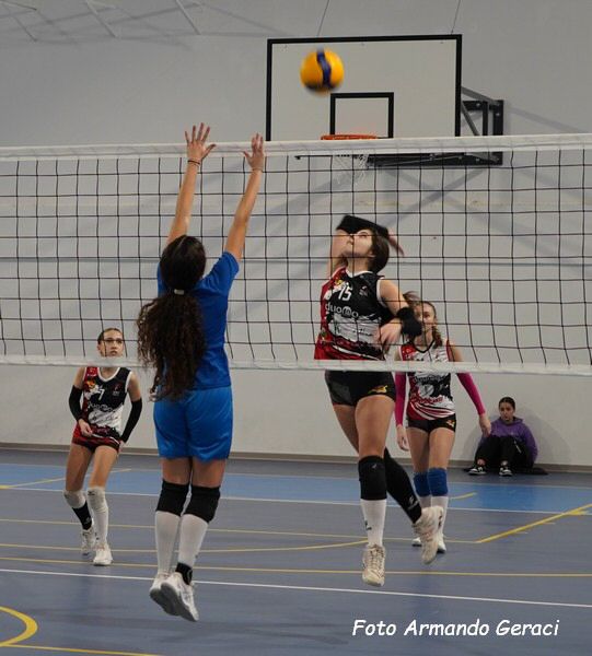 DSC02113y_tn.jpg