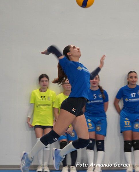 DSC02120y_tn.jpg