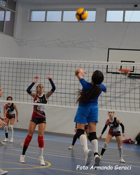 DSC02147y_tn.jpg