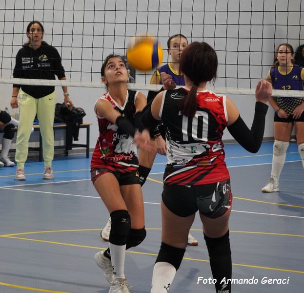 DSC04035y_tn.jpg