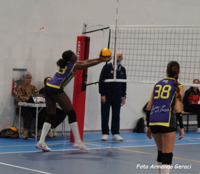 DSC04071y_tn.jpg