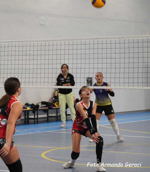 DSC04107y_tn.jpg