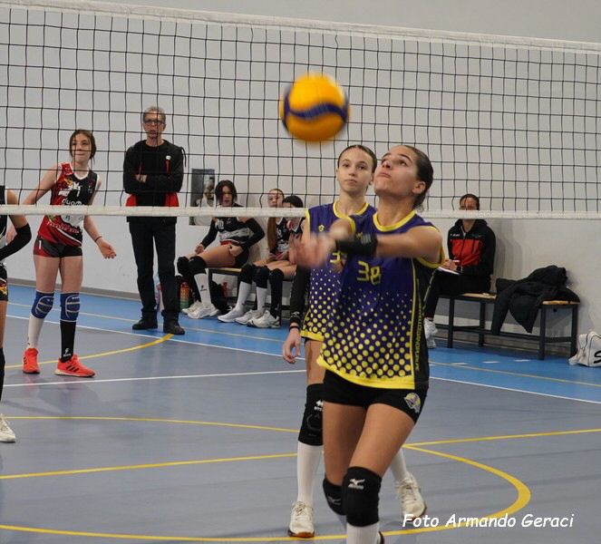 DSC04121y_tn.jpg