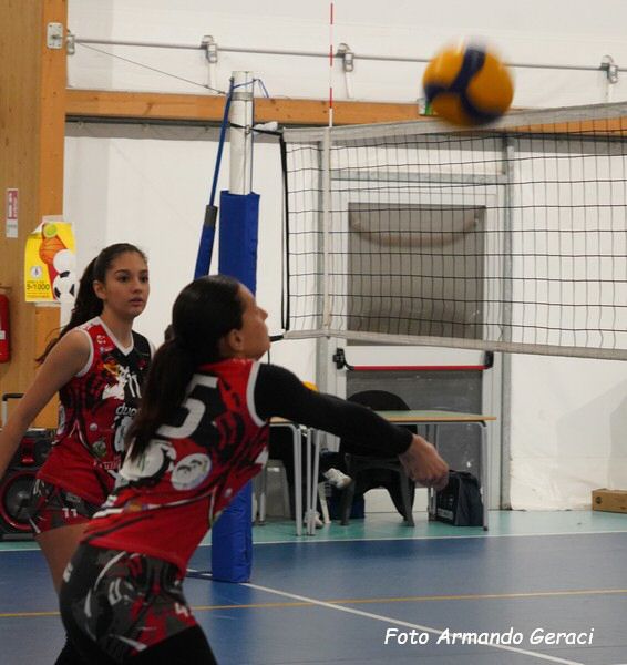 DSC04557y_tn.jpg