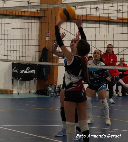 DSC04566y_tn.jpg
