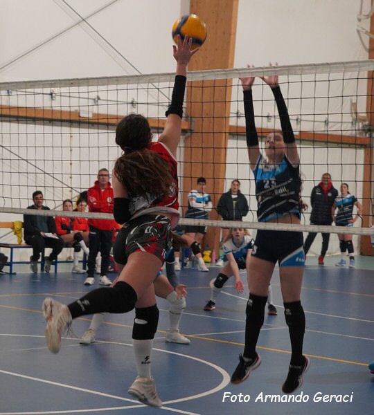 DSC04573y_tn.jpg