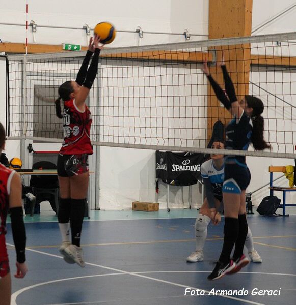 DSC04579y_tn.jpg