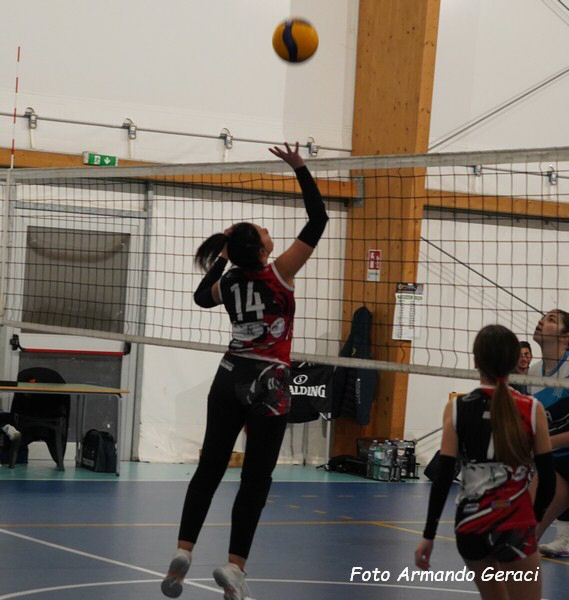 DSC04591y_tn.jpg