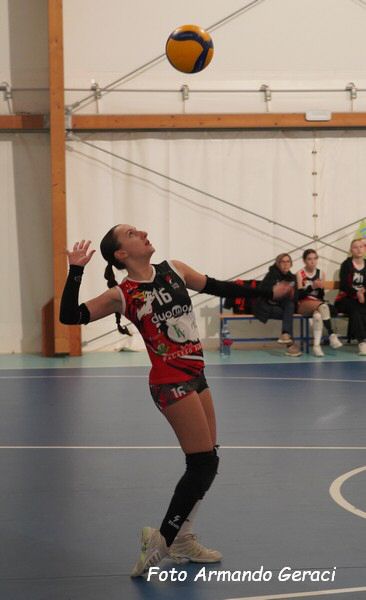 DSC04634y_tn.jpg