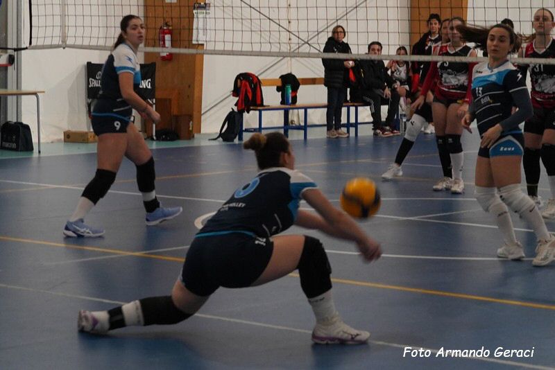 DSC04652y_tn.jpg