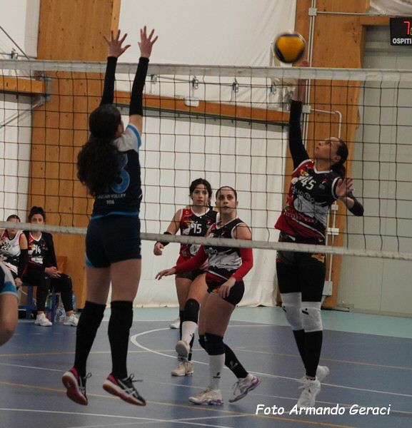 DSC04668y_tn.jpg