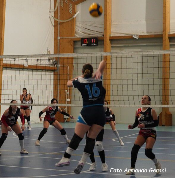 DSC04684y_tn.jpg