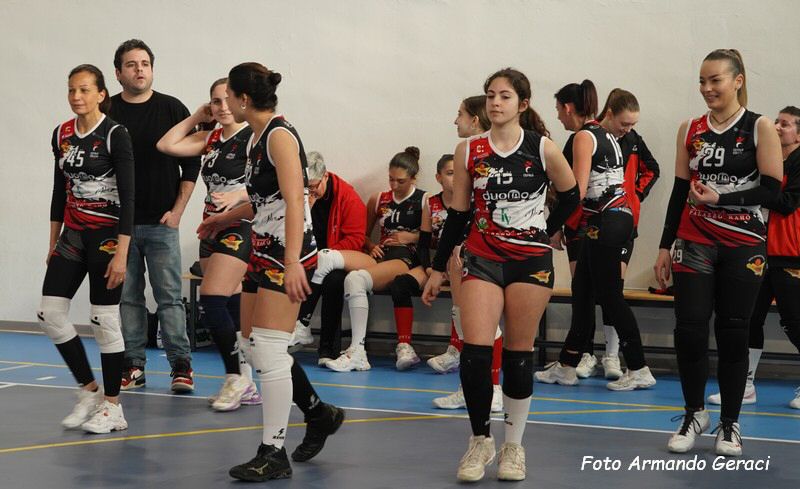 DSC08761y_tn.jpg