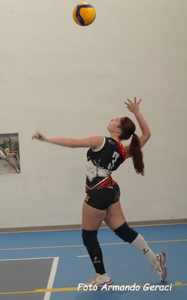 DSC08771y_tn.jpg