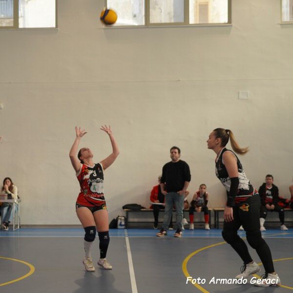 DSC08798y_tn.jpg