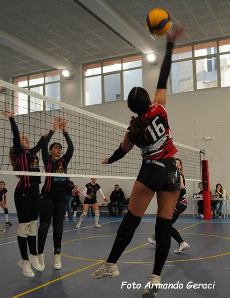 DSC08799y_tn.jpg