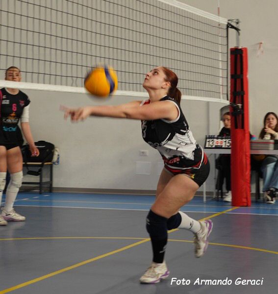 DSC08827y_tn.jpg