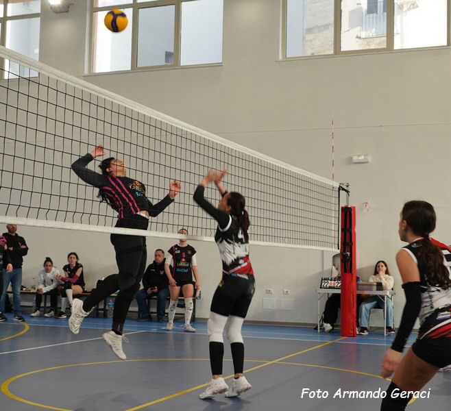 DSC08850y_tn.jpg