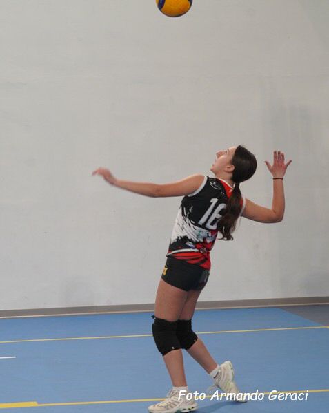 DSC03218y_tn.jpg