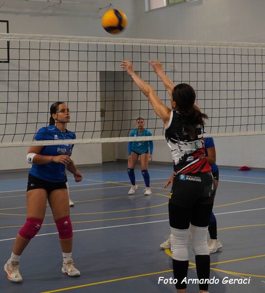 DSC03223y_tn.jpg