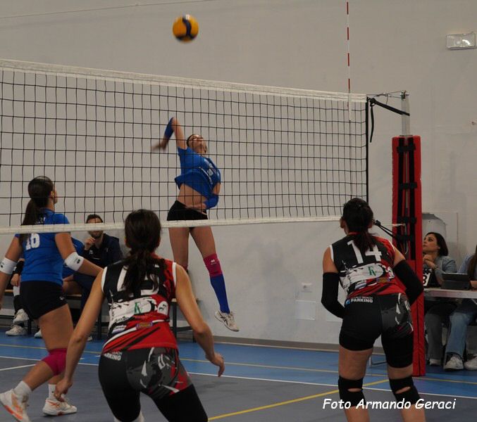 DSC03226y_tn.jpg